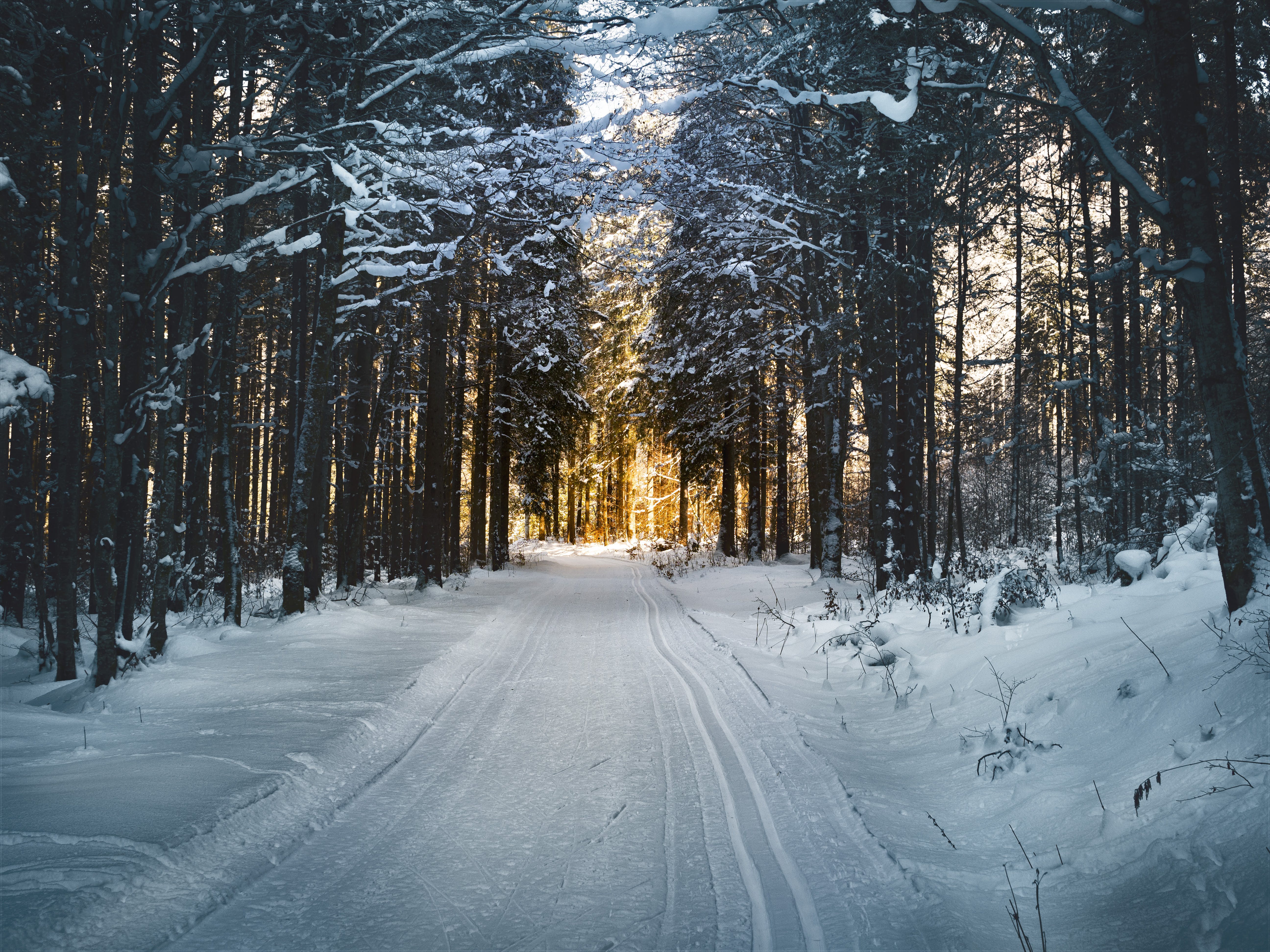 image of a winter landscape