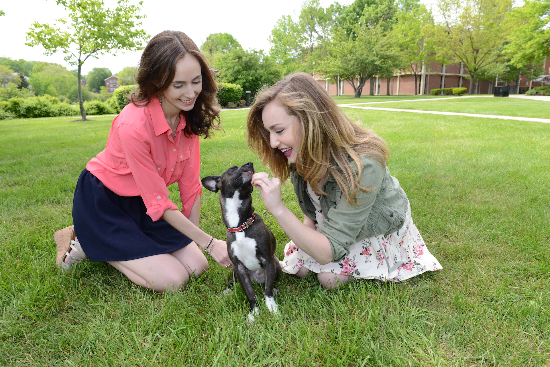 Students having fun with a dog