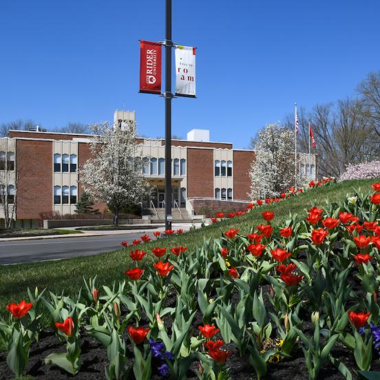 Moore Library in spring with tulips blooming