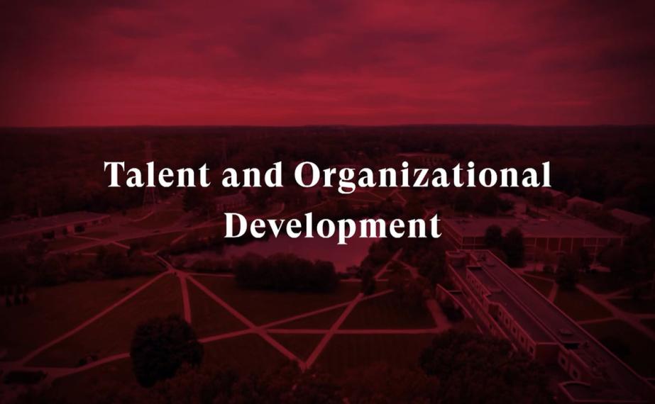 thumbnail: talent & org development