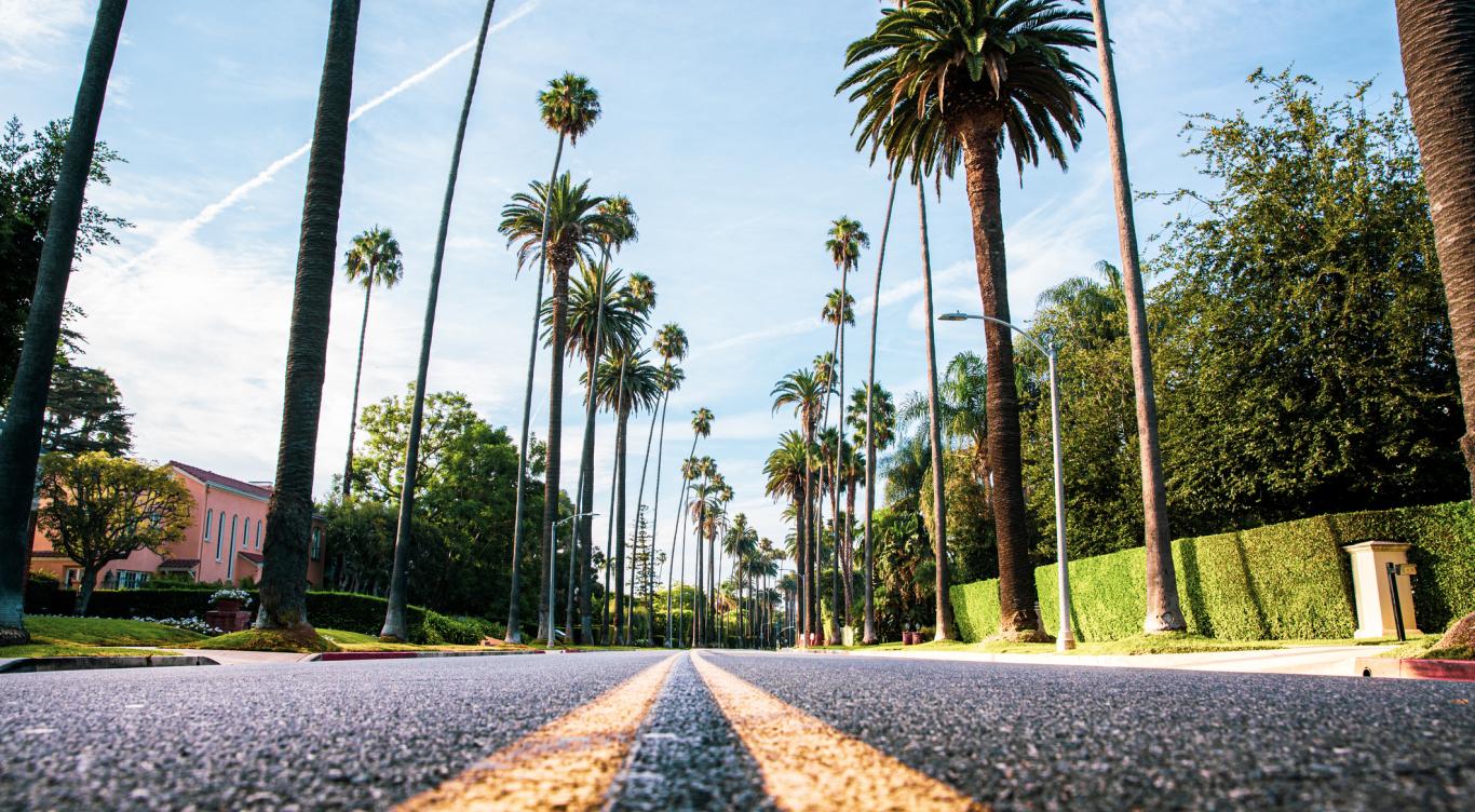 Palm tree lined street in Los Angeles