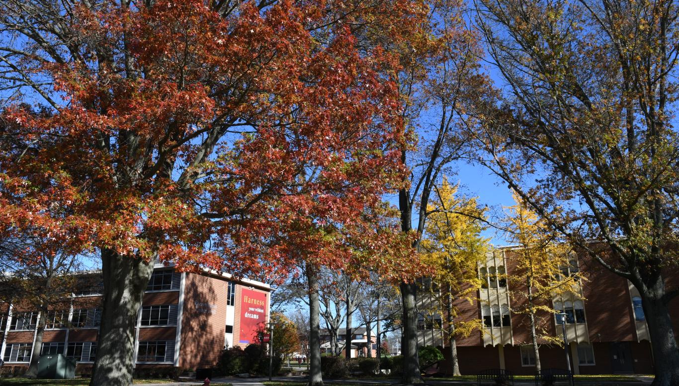 Rider campus in fall