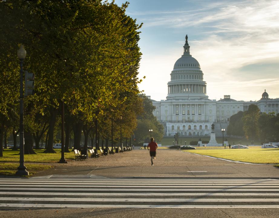 Capitol building and the National Mall - Washington DC