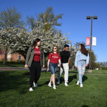 Four students walk across campus mall